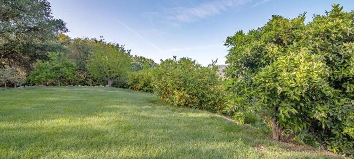 Guinda's Finest Nature Get-Away! Ξενοδοχεία στην πόλη Yolo County