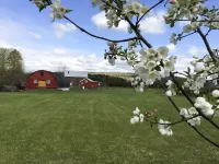 A Cozy Farmstead Cottage Amidst Two Barns in Hudson Valley