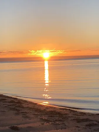 4 or 5 bedroom home with solar heated, undercover outdoor pool. Pet friendly. Отели в г. Ардросан