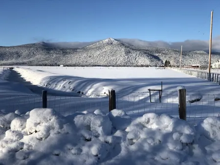 Secluded Hidden Gem Mazama House near Crater Lake Отели рядом с достопримечательностью «Train Mountain Railroad Museum»