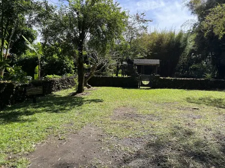 Tropical Romance... Lush Gardens.... in Heavenly Hana, Maui