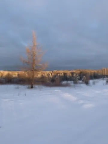 Snowmobilers Getaway - ATVer's Paradise