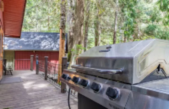 New Rainier Forest Lodge w/ Hot Tub-Fireplace-EV-WiFi