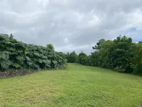 Private & Beautiful home on 1 acre close to airport, beach, & Kailua-Kona town