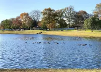 Spring Lake Manor - Rutgers | NYC | Middlesex County New Jersey - EXTENDED STAY