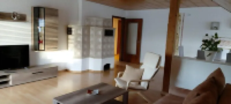 Large, spacious vacation apartment in Ebermannsdorf