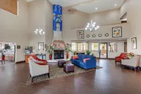 Comfort Inn Hotels in La Cienega