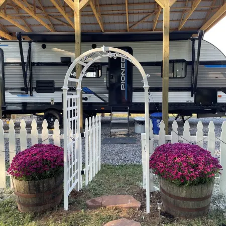 The Alpaca Campa - Minutes to Nashville