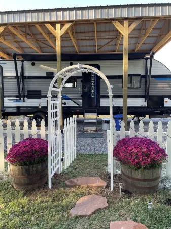 The Alpaca Campa  - Minutes to Nashville