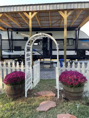 The Alpaca Campa  - Minutes to Nashville