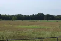 First Monday ~New to VRBO~ Brasher Family Farm: Roughly 6 miles to First Monday