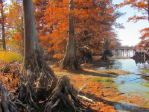 Scales And Ducktails Rentals. Your Hunter And Fisherman Home Away From Home.
