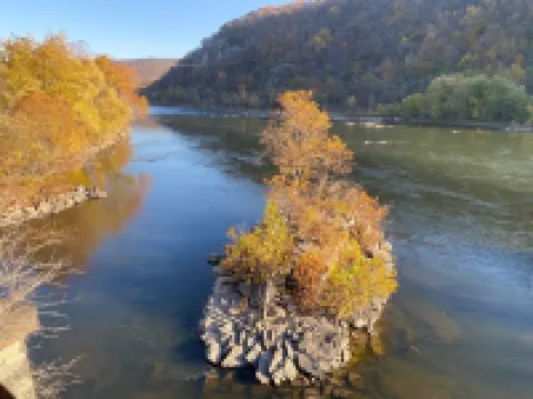 Modern Luxury, Walk to Washington St and Downtown, EV, Movie Room, Spa Bathroom