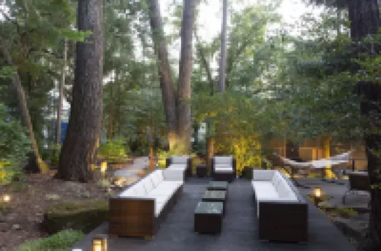 Wine Country Redwood Estate in the Heart of Wine Country