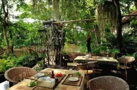 Fern Paradise Hotels near Tweechol Botanical Garden