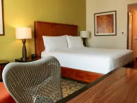 巴拿馬城中心希爾頓花園酒店 鄰近Cinta Costera的酒店