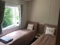 Badgers nestled in a cozy corner of the park