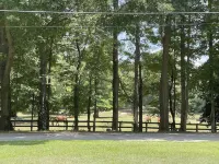 Perfect Location!! Amazing View! Country Serenity & Mins to ATL and Fifa Events! Hotels in Scottdale