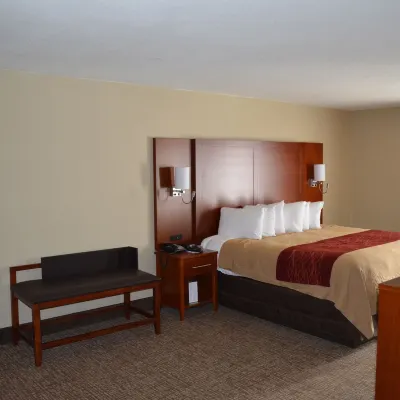 Comfort Inn Hotels near Bacon Park