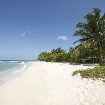 Gunsite 28 by Bluescape