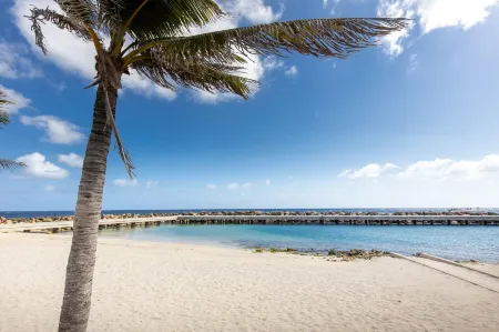 Fully Equipped Modern Loft - Hidden Gem in Willemstad Отели рядом с достопримечательностью «Sunscape Beach»