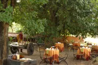 Mahua Kothi Bandhavgarh - A Taj Safari Lodge Hotels in Guruwahi