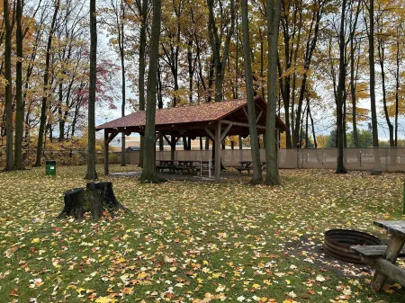 Hidden Haven Cottages Отели в г. Ридер Тауншип