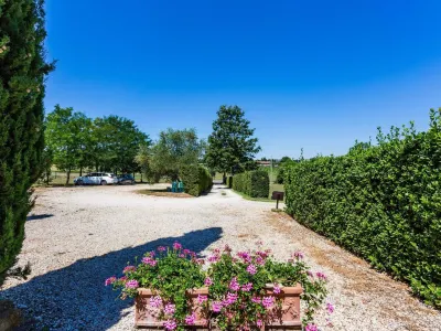 Scenic Apartment in Casole d Elsa with Pool