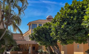 Hotel Oasis