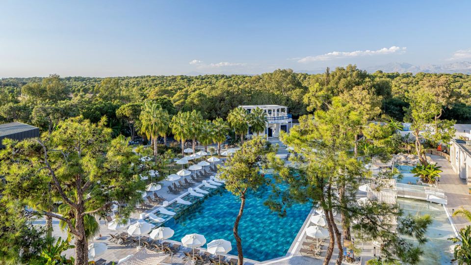 Berry Blue Hotels