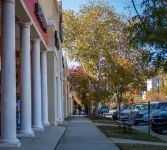 Full Kitchen and Convenient Location - Stylish Cozy Haven