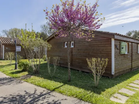 Domaine de Sévenier Chêne Vert