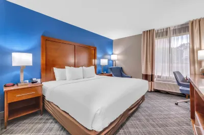 Comfort Inn Hotel a Somerset