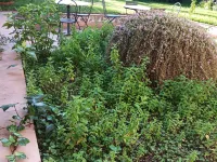 Villa Aresco Hotels in Mascalucia