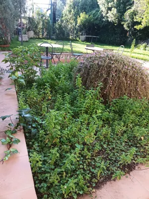 วิลล่าอาเรสโก โรงแรมใน