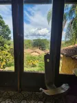 卡普里科阿斯圖裡亞諾飯店 - 山景