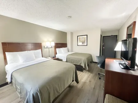 Econo Lodge Cartersville-Emerson Lake Point