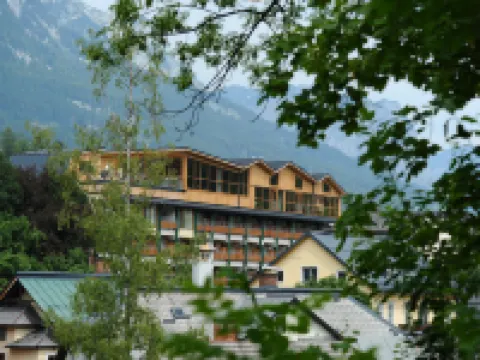 SPA Hotel Erzherzog Johann Hotels in Bad Aussee
