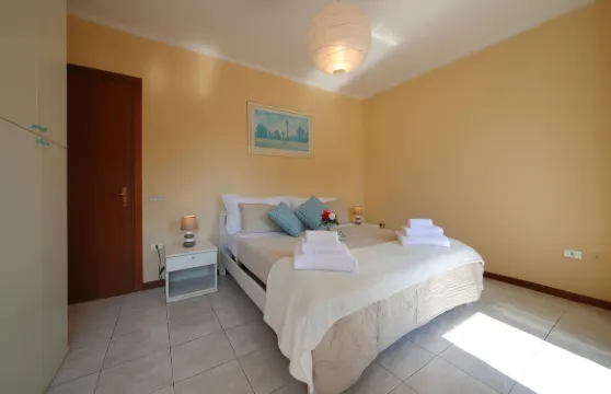 白色花瓣離湖100米