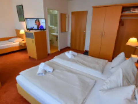 RoomRent55 Hotels in Villach-Warmbad Villach