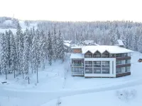 Hotel Aateli Hillside Hotels in Sotkamo