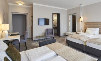Hotel Via Regia - Vias-Hotels