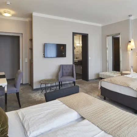 Hotel Via Regia - Vias-Hotels