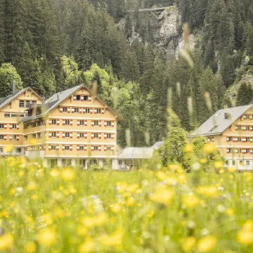 Berghaus Schroecken Отели в г. Брегенц
