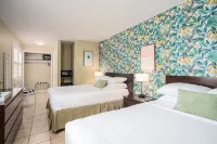 The Local - แซนต์ออกัสทิน