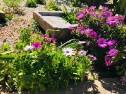 B&B Timpe Bianche Hotéis em Castelluzzo