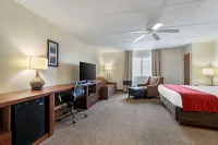 Comfort Inn Kissimmee-Lake Buena Vista South Các khách sạn ở Kissimmee