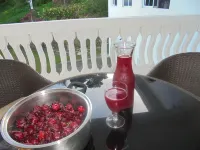 Pearl Ocean Villa -  Ferienhäuser