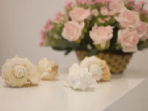 262號套房酒店 尼甘布酒店