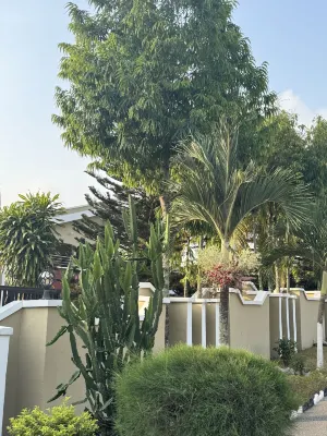 LaRosa Executive Guest House Hotels in Ejisu